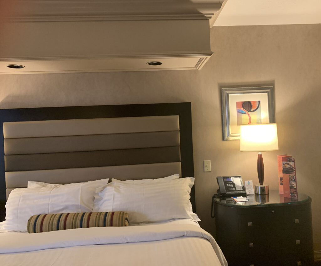 Hotel Treasure Island of Vegas