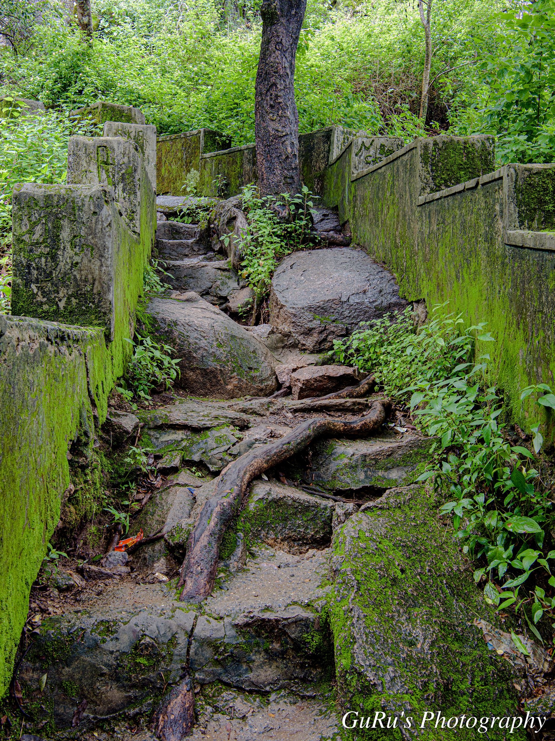 Stair-Trek